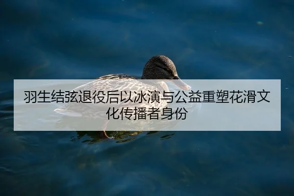 羽生结弦退役后以冰演与公益重塑花滑文化传播者身份