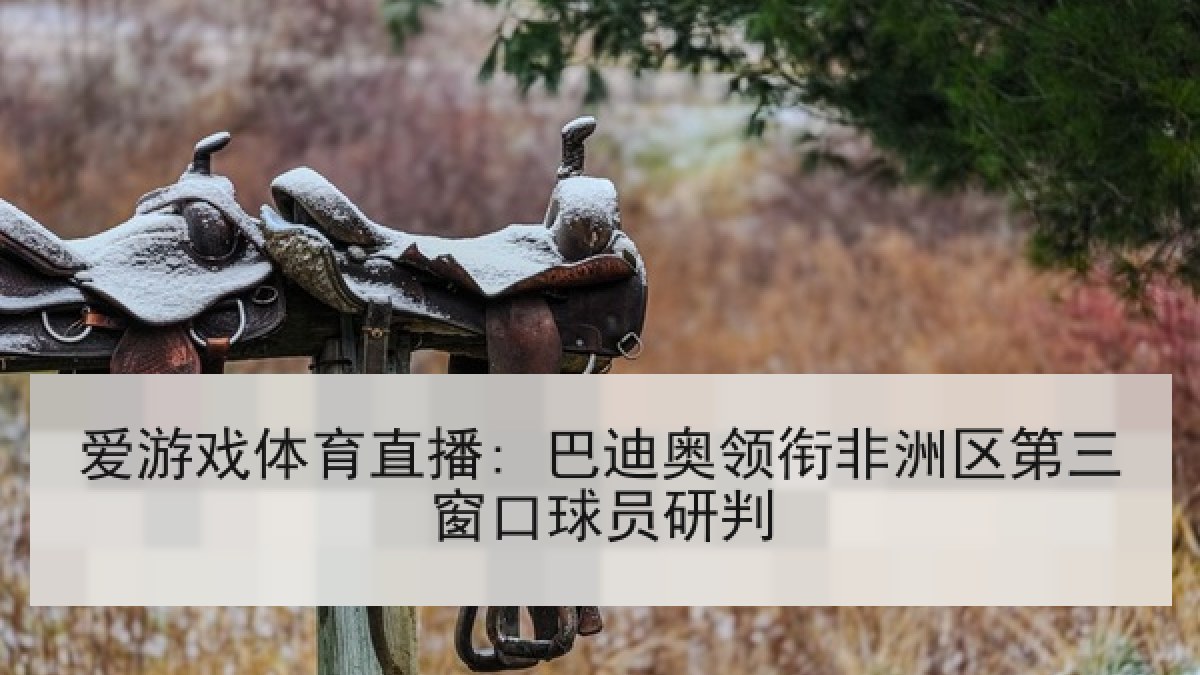 爱游戏体育直播: 巴迪奥领衔非洲区第三窗口球员研判 爱游戏体育直播: 巴迪奥领衔非洲区第三窗口球员研判