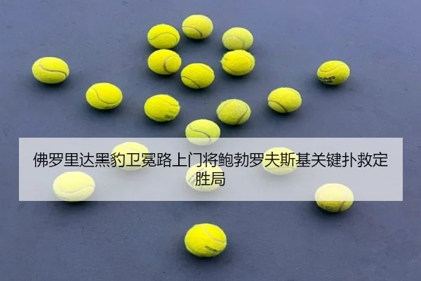 fu-luo-li-da-hei-bao-wei-mian-lu-shang-men-jiang-bao-bo-luo-fu-si-ji-guan-jian-pu-jiu-ding-sheng-ju-2-814.jpg